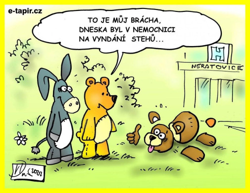 stehy